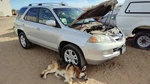 2001-2006 Acura Mdx Rear Stabilizer Bar Oem Sway With Brackets 6515381. Fixed Price $190.00.