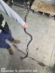 Rear Stabilizer Bar Oem 22-25 Mitsubishi Outlander 56230W030P. Fixed Price $65.00.