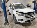 2017 Ford Escape Used Front Stabilizer Bar 18 Wheels Oem 524-00936. Fixed Price $80.70.