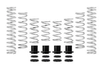 Eibach Stage Spring Kit 2017-2018 Yamaha YXZ1000R W/fox E85-211-001-02-22. Fixed Price $1060.00.
