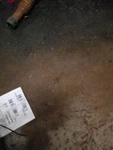 Stabilizer Bar Front Thru 4/00 Fits 96-01 Pathfinder 103854. Fixed Price $34.50.