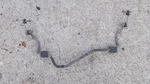 Bmw X3 04-10 E83 Rear Stabilizier Anti Roll Sway Bar 17.5MM W/ Links Oem 3401683. Fixed Price $79.99.