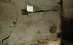 Stabilizer Bar Front Fits 97-99 Dakota 81480. Fixed Price $40.25.
