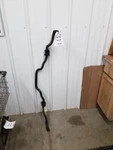 Stabilizer Bar Front 8 Cylinder Fits 94-97 Cougar 240623. Fixed Price $34.50.