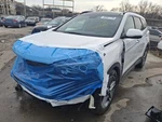 2017 Hyundai Santa Fe Rear Stabilizer Bar Awd 3.3L Used Part 3955125. Fixed Price $87.68.