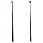 SET-TRWTSG314007-2 Trunk Lid Lift Supports Of Driver & Passenger Pair. Fixed Price $44.98.