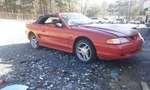 Stabilizer Bar Front 8 Cylinder Excluding Cobra Fits 94-95 Mustang 479636. Fixed Price $100.00.