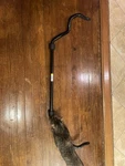 2023-2025 Honda Hrv Genuine Oem Front Stabilizer, Sway Bar. Fixed Price $29.99.