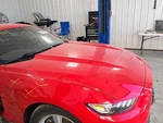 2015-2017 Ford Mustang Used Front Stabilizer Bar Gt 2DR Cpe 3.70L Oem. Fixed Price $84.95.