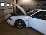 Stabilizer Bar Rear 6 Cylinder 21MM Diameter Fits 94-04 Mustang 2105472. Fixed Price $125.00.