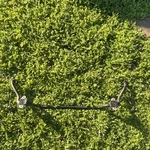01-06 Bmw 3 Series E46 Coupe Front Sway Bar Stabilizer Oem. Fixed Price $100.00.