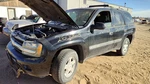 2002-2003 Chevy Trail Blazer Front Stabilizer Bar Oem Sway With Brackets. Fixed Price $195.40.
