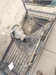 Front Stabilizer Bar Oem 19-23 Jeep Wrangler 68251035AB. Fixed Price $65.00.