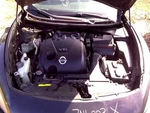 Stabilizer Bar Front Standard Duty Suspension Option Fits 09-14 Maxima 103748466. Fixed Price $100.30.