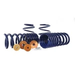 Ford Racing M5300-YA Track Lowering Spring Kit 2015-2023 Mustang Gt. Fixed Price $348.31.